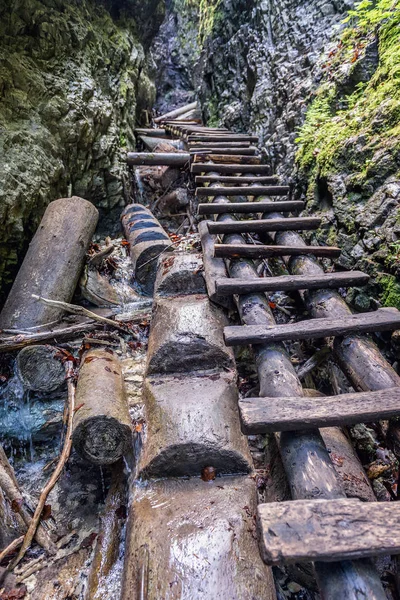 Escaleras Pista Senderismo Sucha Bela Parque Llamado Slovak Paradise Eslovaquia — Foto de Stock