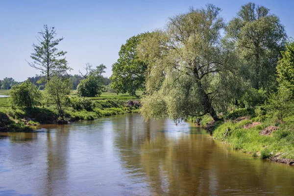 Río Liwiec Kalinowiec Pequeño Pueblo Voivodato Masoviano Polonia — Foto de Stock