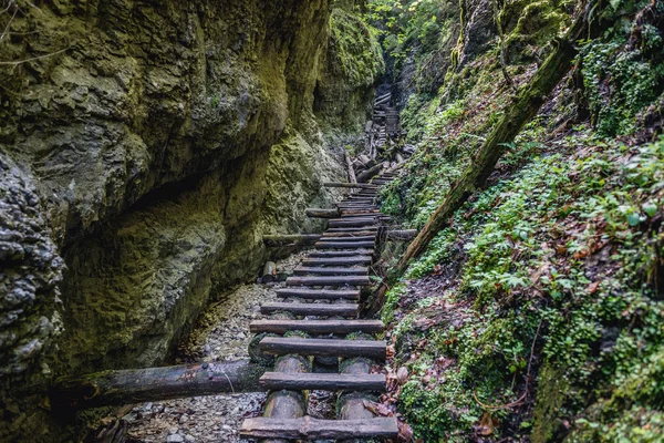 Escaleras Pista Senderismo Sucha Bela Parque Llamado Slovak Paradise Eslovaquia — Foto de Stock