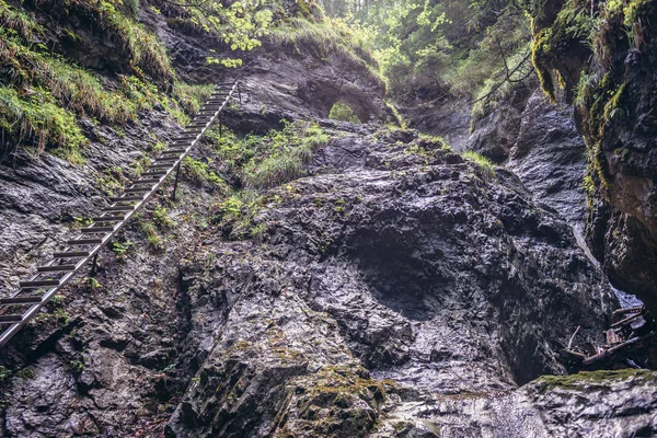 Escalera Junto Cascada Okienkovy Famosa Pista Senderismo Sucha Bela Parque — Foto de Stock