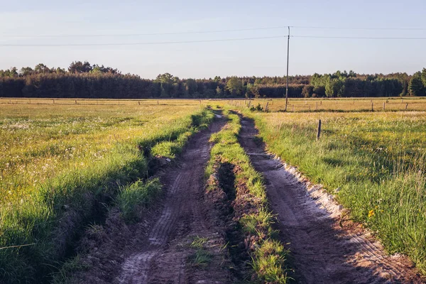 Route Parmi Les Prairies Voïvodie Masovie Pologne — Photo