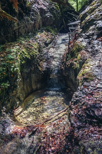 Sucha Bela Famosa Ruta Senderismo Parque Llamado Slovak Paradise Eslovaquia — Foto de Stock