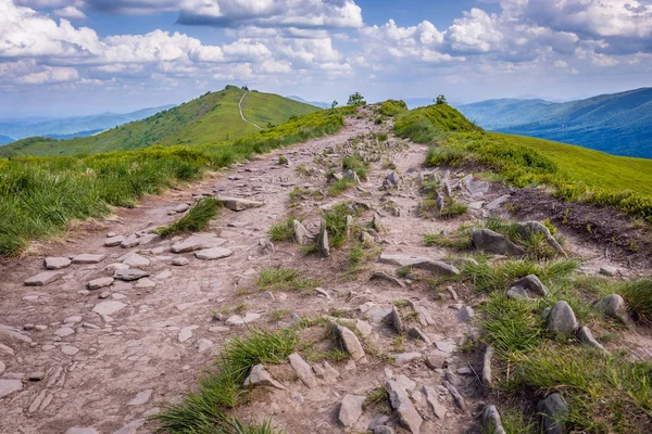 Trail Mountain Cabin Called Winnie Pooh Hut Shelter Bieszczady National — Foto de Stock