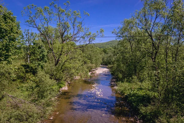 Widok Rzekę Wolosatka Ustrzyki Gorne Małej Wiosce Bieszczady National Park — Zdjęcie stockowe