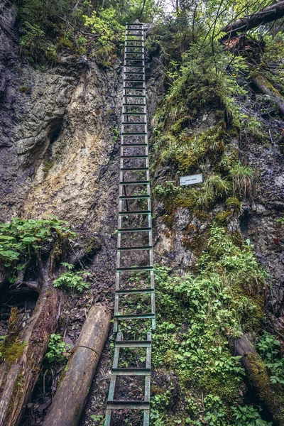 Hiking trail in Monastery Gorge in Slovak Paradise mountain range in Slovakia
