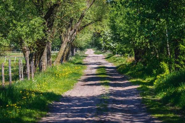 Toprak Yol Yakınındaki Küçük Köyde Masovian Polonya Voyvodalığı — Stok fotoğraf