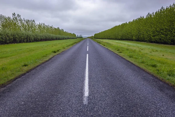 Ruta Vacía 264 Cerca Keldur Granja Histórica Sur Islandia —  Fotos de Stock