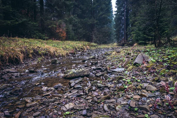 Rivière Bila Ostravice Moravie Silésie Chaîne Montagnes Beskids République Tchèque — Photo