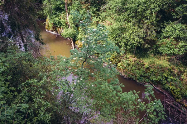 Rivière Hornad Dans Chaîne Montagnes Slovaque Paradise Slovaquie — Photo