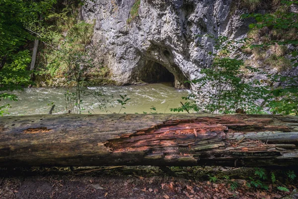 Río Hornad Cordillera Slovak Paradise Eslovaquia — Foto de Stock