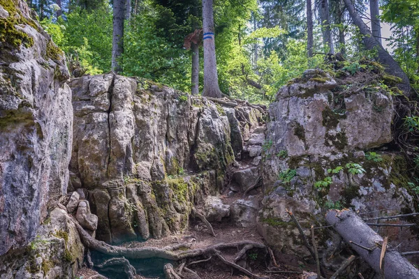Tourist path to rock shelf known as Tomasovsky vyhlad in Slovak Paradise mountain range in Slovakia