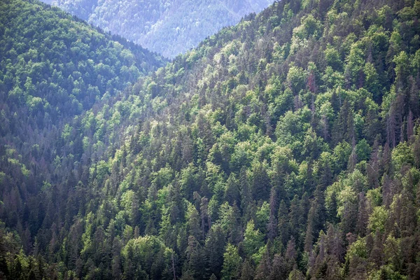 Légi Felvétel Tomasovsky Vyhlad Nevű Sziklafalról Szlovák Paradicsom Hegyvonulatában Szlovákiában — Stock Fotó