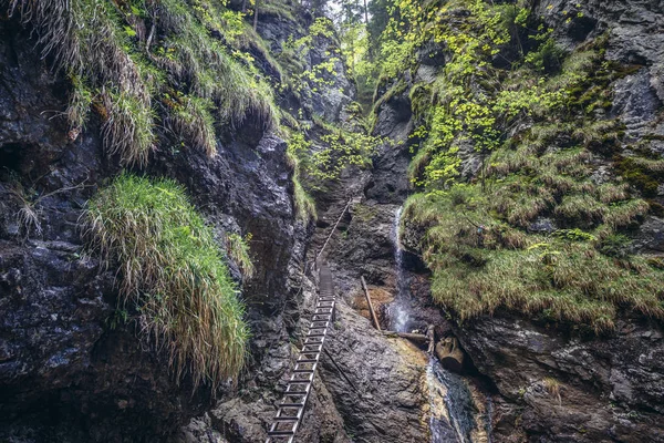 Escalera Metal Junto Las Cascadas Misove Una Famosa Pista Senderismo — Foto de Stock