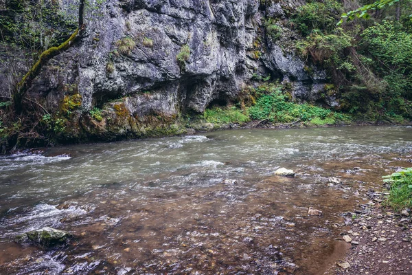 Río Hornad Visto Desde Ruta Turística Parque Llamado Slovak Paradise — Foto de Stock