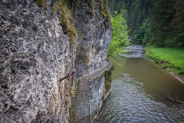 Río Hornad Visto Desde Ruta Turística Parque Llamado Slovak Paradise — Foto de Stock