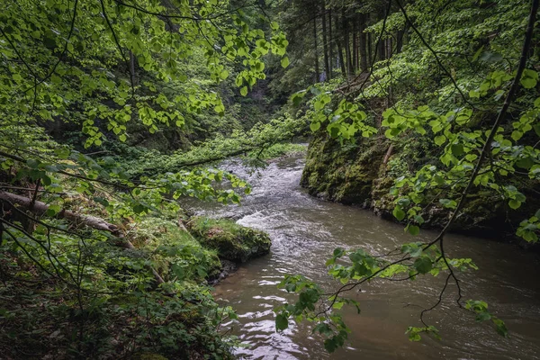 Río Hornad Cordillera Slovak Paradise Eslovaquia — Foto de Stock