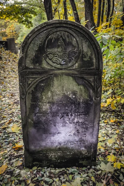 Varsovie Pologne Octobre 2009 Tombe Sur Cimetière Juif Situé Rue — Photo