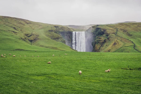 Vedere Distanță Faimoasei Cascade Skogafoss Situată Partea Sud Islandei — Fotografie, imagine de stoc