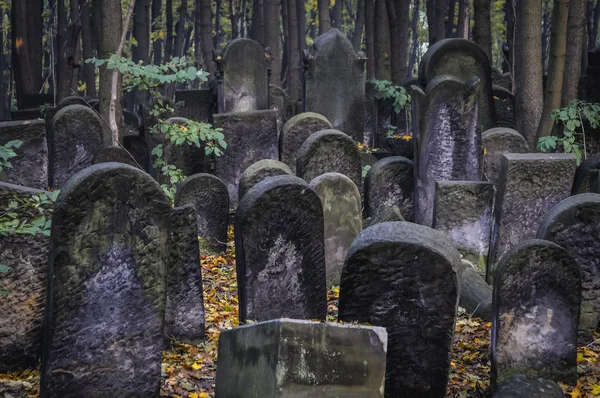 Старі Могили Єврейське Кладовище Розташованих Okopowa Вулиці Районі Вола Варшави — стокове фото