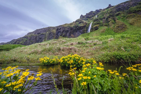 Δείτε Τον Καταρράκτη Fosstunsfoss Δίπλα Στο Περίφημο Καταρράκτη Seljalandsfoss Στην — Φωτογραφία Αρχείου