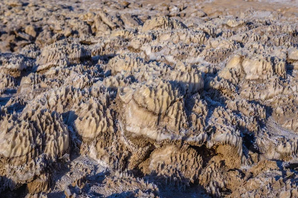 Depósitos Sal Rocha Uma Costa Lago Sal Mar Morto Jordânia — Fotografia de Stock