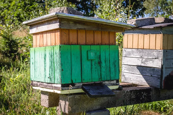 Jardin d'abeilles en Pologne — Photo