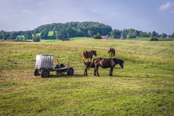 Cassubia region i Polen — Stockfoto