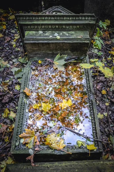 Єврейське кладовище у Варшаві — стокове фото