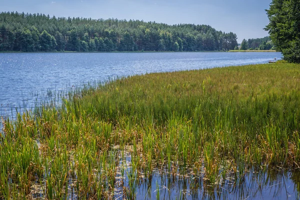 Jezioro w Polsce — Zdjęcie stockowe