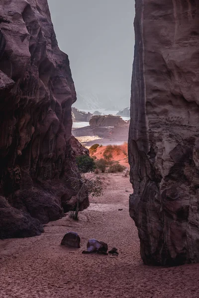 Canyon in Wadi Rum — Stock Photo, Image