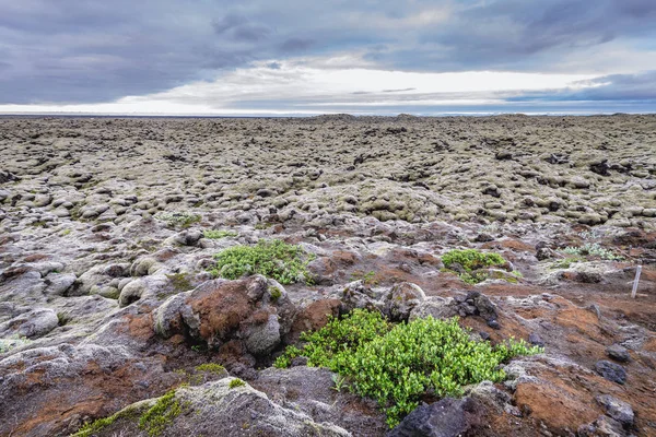Skaftareldahraun アイスランドの溶岩 — ストック写真