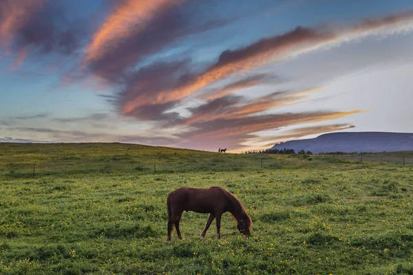 Céu do pôr do sol na Islândia — Fotografia de Stock