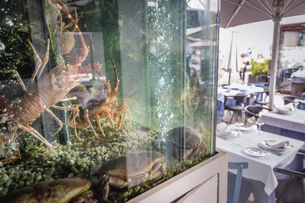 Ресторан морепродуктів в Лісабоні — стокове фото