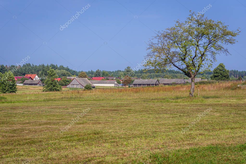 fotokon