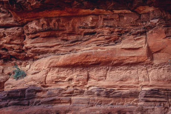 Wadi Rum völgyében — Stock Fotó