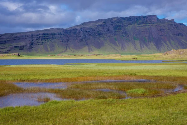 Υγρό λιβάδι της Ισλανδίας — Φωτογραφία Αρχείου