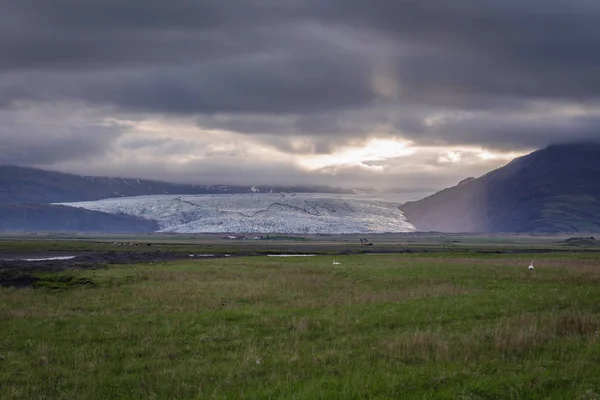İzlanda'daki Hoffell alan — Stok fotoğraf