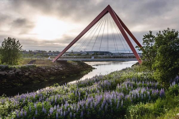 Brücke in Reykjavik — Stockfoto
