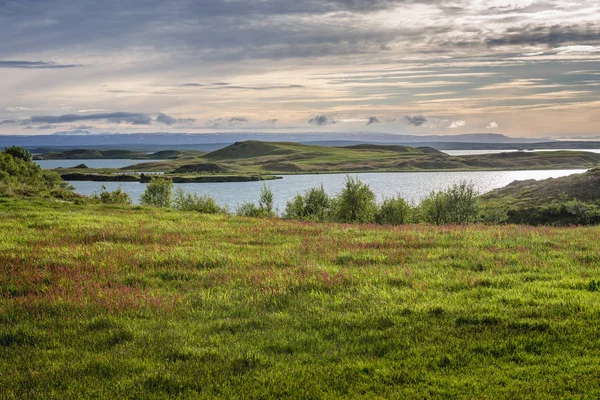 Myvatn озера Ісландії — стокове фото