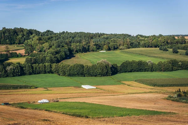 Campos en Polonia — Foto de Stock