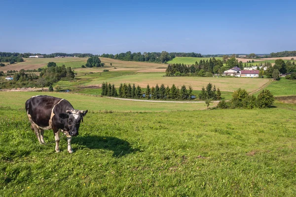Landsbygden i Polen — Stockfoto