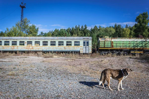 Černobyl vyloučení oblast — Stock fotografie