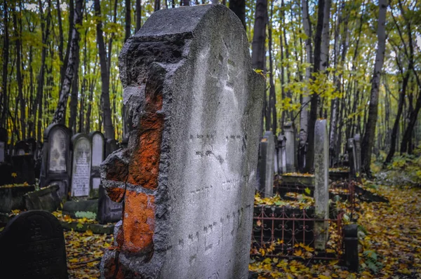 A Varsói zsidó temető — Stock Fotó