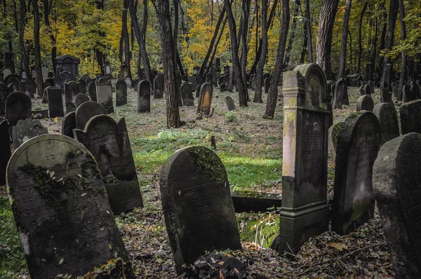 Varşova'daki Yahudi Mezarlığı — Stok fotoğraf
