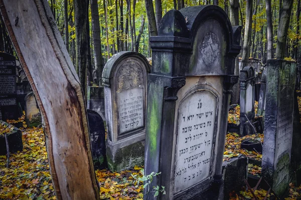 바르샤바에서 유태인 묘지 — 스톡 사진