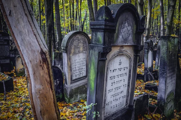 Cemitério judaico em Varsóvia — Fotografia de Stock