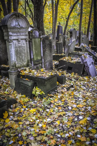 Єврейське кладовище у Варшаві — стокове фото