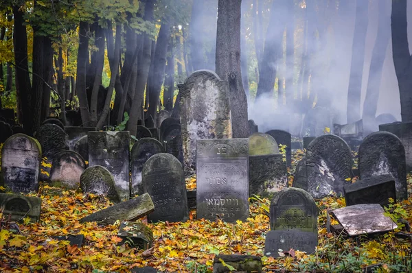 Єврейське кладовище у Варшаві — стокове фото