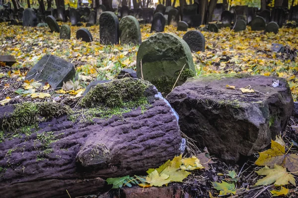 Jewish Cemetery in Warsaw — Stock Photo, Image