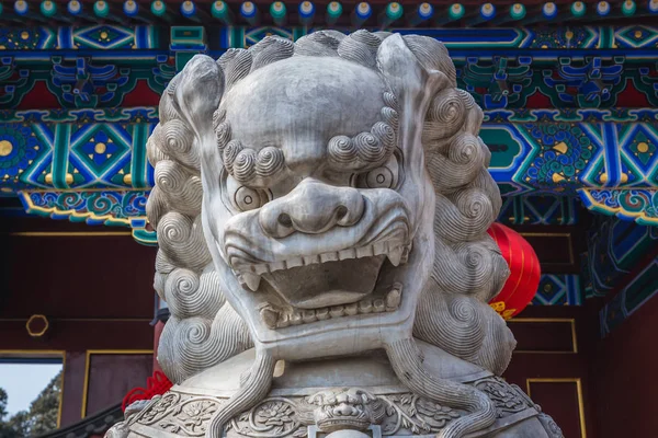 Löwenstatue in Peking — Stockfoto